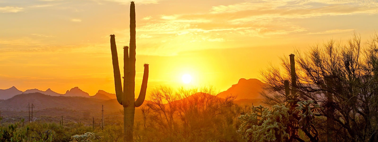 Sari Hands PLC banner